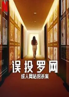 误投罗网:成人网站拐杀案
